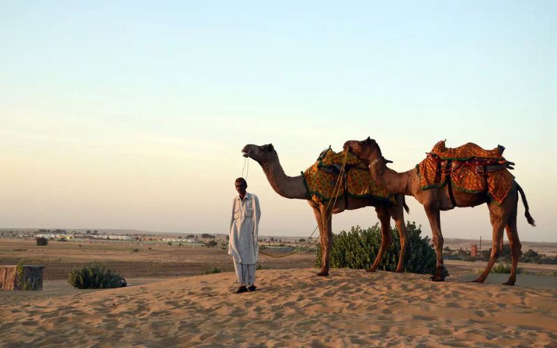 Camel safari experience in Jaisalmer desert Rajasthan